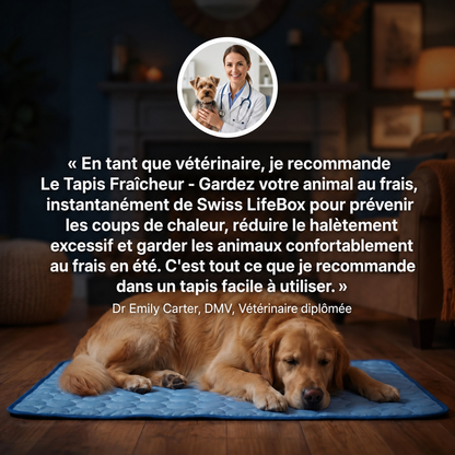 Le Tapis Fraîcheur - Gardez votre animal au frais, instantanément