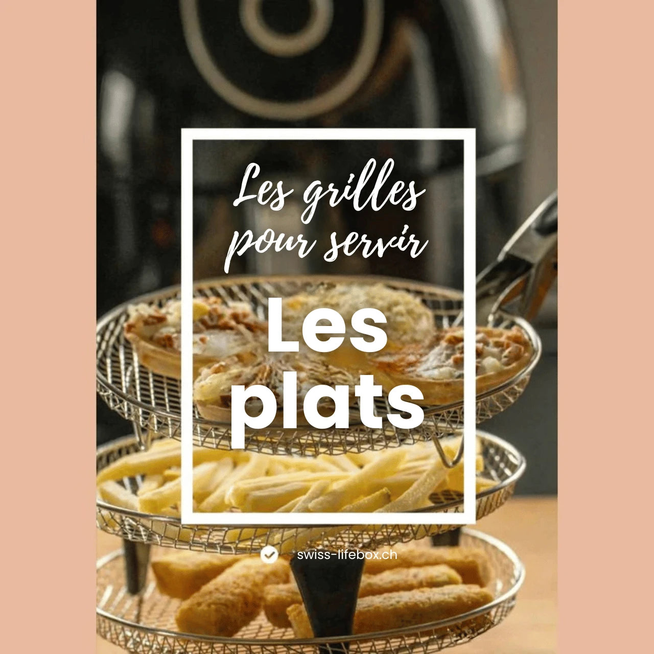 eBook de recettes : idées pour votre panier gourmand et rôtissoire cylindrique barbecue