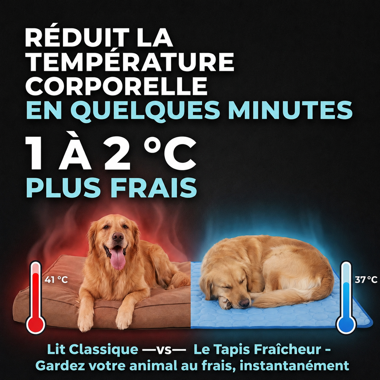 Le Tapis Fraîcheur - Gardez votre animal au frais, instantanément