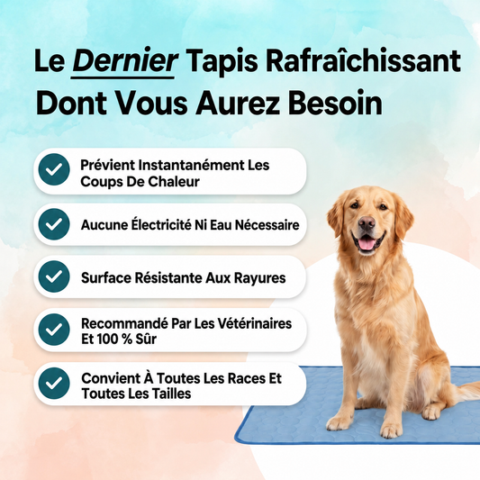 Le Tapis Fraîcheur - Gardez votre animal au frais, instantanément