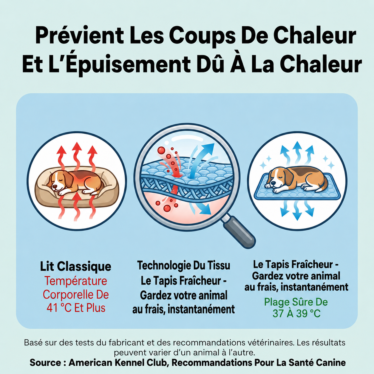 Le Tapis Fraîcheur - Gardez votre animal au frais, instantanément