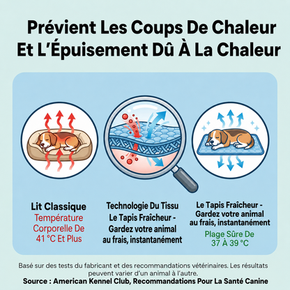 Le Tapis Fraîcheur - Gardez votre animal au frais, instantanément