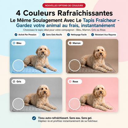 Le Tapis Fraîcheur - Gardez votre animal au frais, instantanément