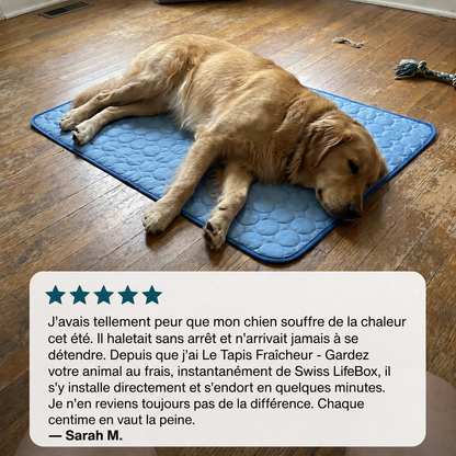 Le Tapis Fraîcheur - Gardez votre animal au frais, instantanément